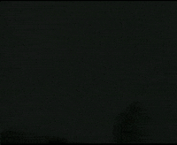 Diva Chair GIF