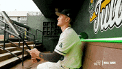 College Baseball Jacob GIF by GreenWave