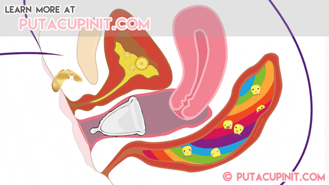 Period Menstruation GIF by Put A Cup In It