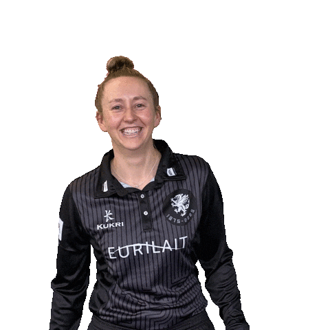 Wave Smile Sticker by Somerset County Cricket Club