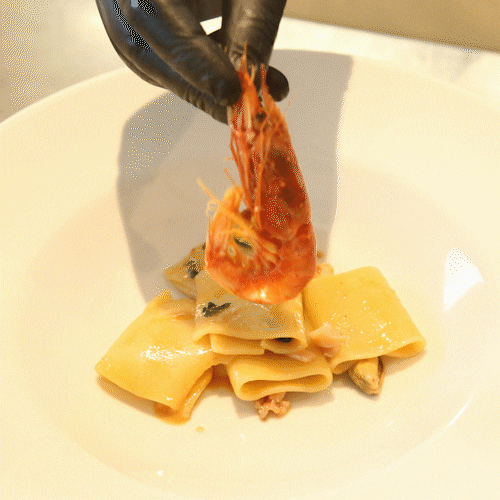 alchiardiluna giphyupload GIF