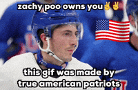 Usa Hockey Nhl GIF