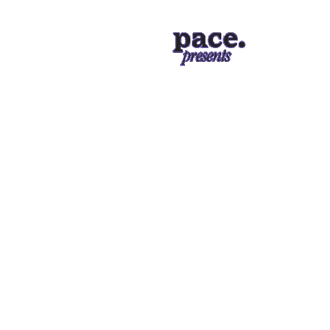 I Got This Shopping Sticker by paywithpace