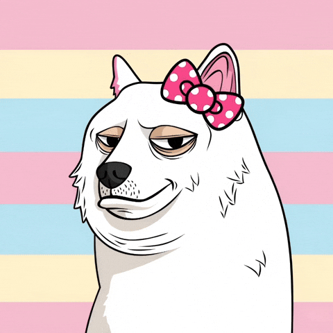 Condescending Hello Kitty GIF by Doge Pound