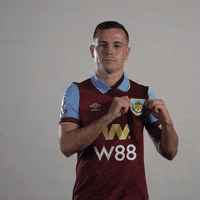 Premier League Ireland GIF by Burnley Football Club