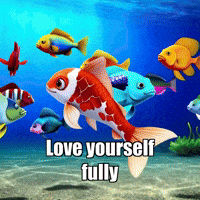 Wisdom Acceptance GIF by TheConfishius