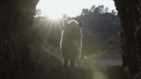 season 1 singing GIF by Fox TV