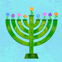 Cat Sticker GIF by Spacey