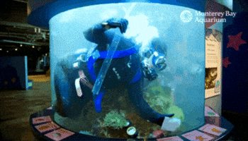Cleaning Siphon GIF by Monterey Bay Aquarium