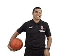 Sport Basketball Sticker by Bamberg Baskets
