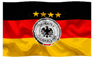 Germany Football GIF by Parimatch