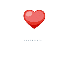 Immo Lille Sticker by JLWimmobilier