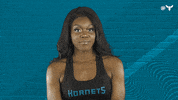 Honey Bee Dance GIF by Charlotte Hornets