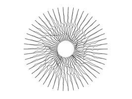 ppaslier glitch black and white noise generative art GIF