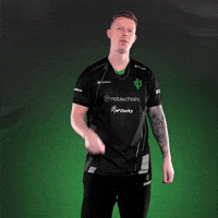 Esports Cs2 GIF by Sprout