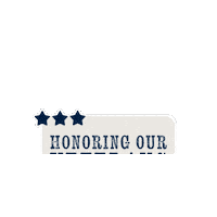 Veteransday Sticker by Smile Doctors Official