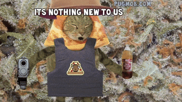 THE PIZZACAT : PIZZA ALL THE TIME. Churro Made the Beat (original viral video 2014)