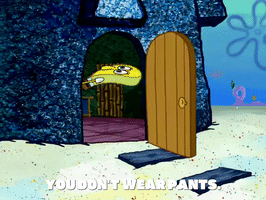 season 6 GIF by SpongeBob SquarePants