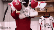 happy ice hockey GIF by NHL