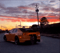 Bee Burning GIF