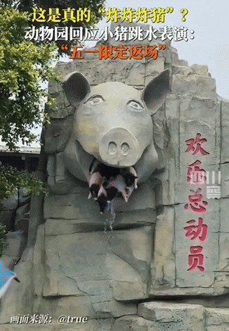 uuusssuuu giphyupload GIF