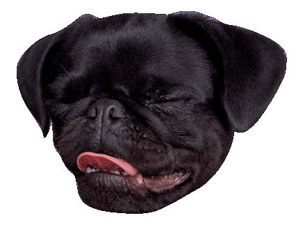 Happy Big Dog Sticker by Big Dog Pet Foods