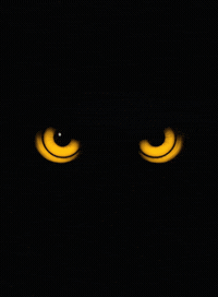 Cats Eyes GIF