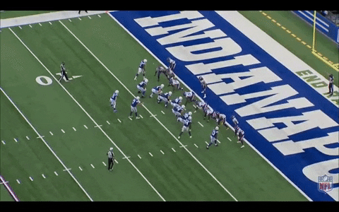 bradyvernon giphygifmaker GIF
