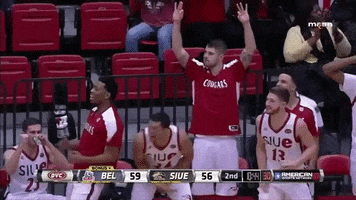 excited basketball GIF by SIUE Cougars