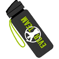 Ever Sticker