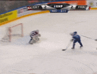 France Hockey GIF