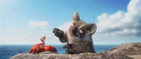 tatprod film jungle crab nasty GIF