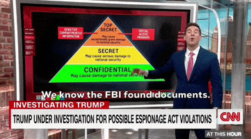 Donald Trump GIF by GIPHY News