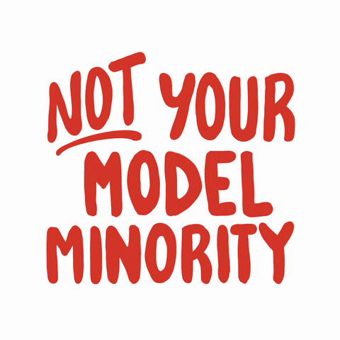 Text gif. In red capitalized font against a white background reads the message, “Not your model minority.”