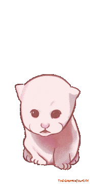 Cat Dancing Sticker