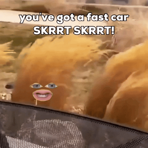 Fast Car Tumbleweed GIF