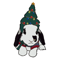 bosshappythebunny merrychristmas happychristmas happyxmas bosshappy Sticker