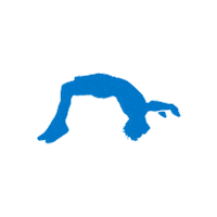 Mens Gymnastics Sticker by Turn Gymnastics Apparel