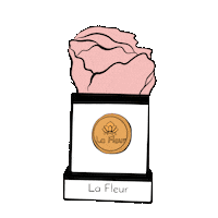 red roses rose Sticker by La Fleur Bouquets