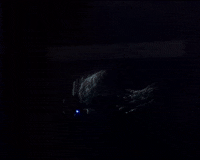 danza y artes visuales GIF by sanderick