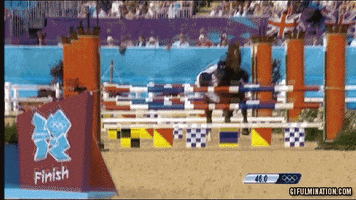 horse jumping GIF by SB Nation