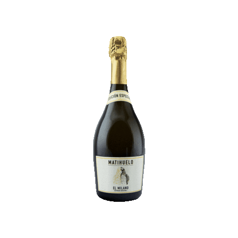 BodegasMatihuelo giphygifmaker Sticker