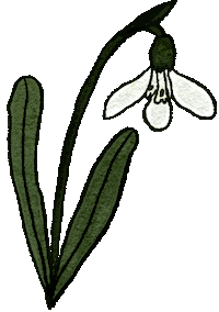 Life Flower Sticker by MAJASBOK