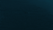 Coming On My Way GIF by Shark Week