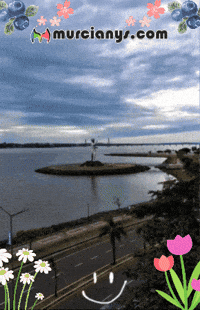 Amigos Saludos GIF by Murcianys LLC