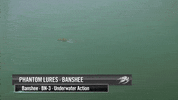 GIF by Omnia Fishing