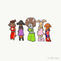 stefanieshank dog dogs dachshund spice GIF