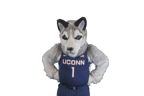 basketball no Sticker by UConn Huskies
