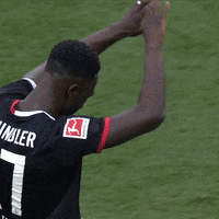 1 Fc Cologne Hug GIF by 1. FC Köln