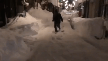 Japanese Snow Enthusiast Dives Into Snowbank After Record-Setting Winter Storm